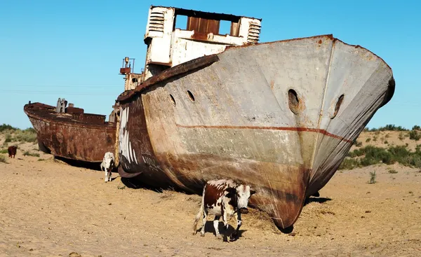 Barcos no deserto em torno de Moynaq, Muynak ou Moynoq - Mar de Aral ou lago de Aral - Uzbequistão - Ásia — Fotografia de Stock