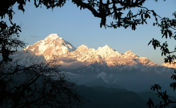 Kvällen syn på mount dhaulagiri - nepal — Stockfoto