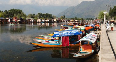 srinagar içinde yüzen dal göl gemilerde shikara