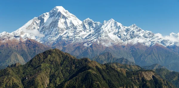 Utsikt över mount dhaulagiri - nepal — Stockfoto