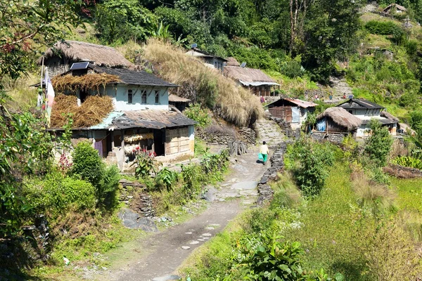Hermoso pueblo en caminata guerrillera - oeste de Nepal — Foto de Stock