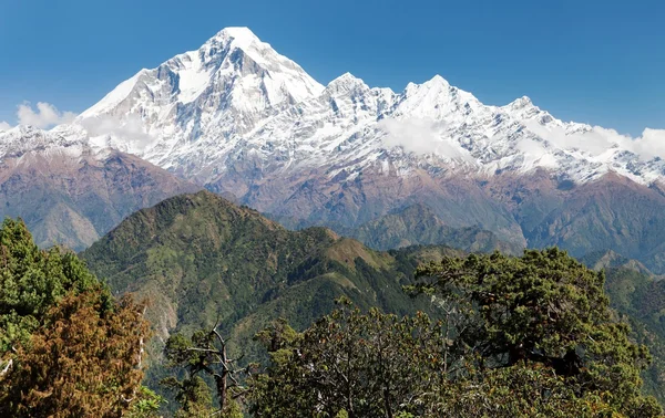 View of mount Dhaulagiri - Nepal — Stock Photo, Image