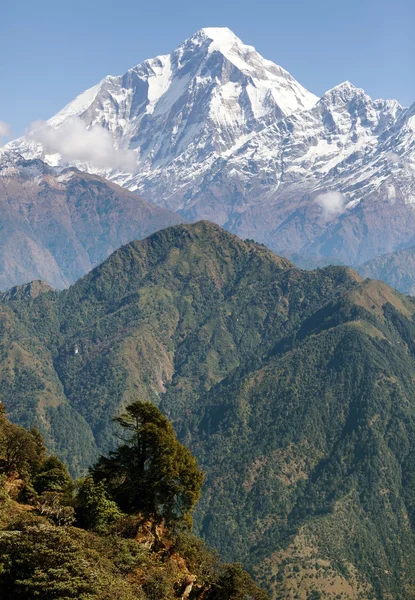 Veduta del monte Dhaulagiri - Nepal — Foto Stock