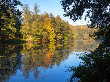 Ohre nehri ve sonbahar manzarası su yüzeyindeki gölü yansıtıyor.