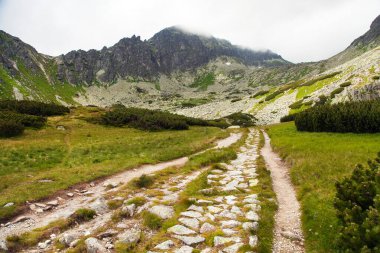 Vysoke Tatry veya High Tatras dağlarındaki taş dağ yolu, Carpathia, Slovakya