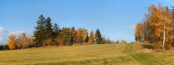 Herbstpanorama Aus Dem Böhmischen Und Mährischen Hochland Tschechien — Stockfoto