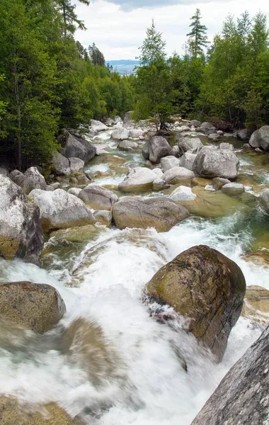 斯洛伐克喀尔巴阡山高地Studeny Potok溪流瀑布 — 图库照片