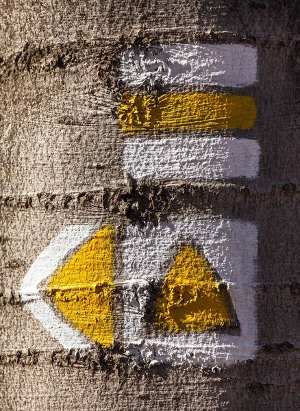 Κόκκινο Κίτρινο Πράσινο Και Μπλε Τουριστικές Πινακίδες Σύμβολα Χρησιμοποιείται Στην — Φωτογραφία Αρχείου