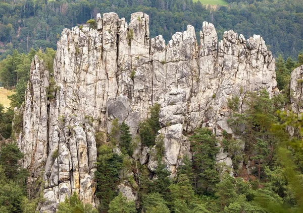 Suche Skaly Dry Rocks Sandsteinsby Cesky Raj Czech Eller Bohemisk – stockfoto