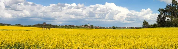 ラテン語で菜種 菜の花やコルザ黄色のフィールド空に美しい雲とブラシカナプス 菜の花の種は 緑のエネルギーと石油産業 春の黄金の開花フィールドパノラマビューのための植物です — ストック写真