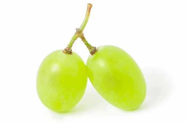 Two grapes — Stock Photo, Image