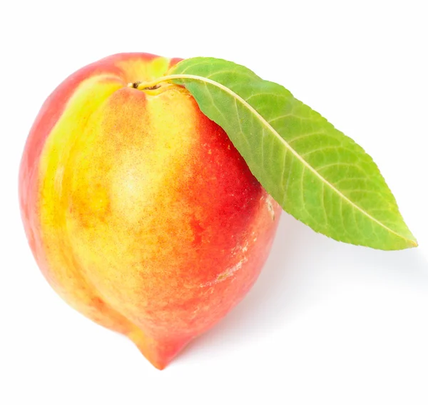Één nectarine vruchten — Stockfoto