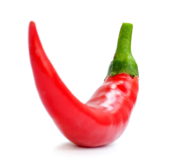 Röd chili peppar — Stockfoto