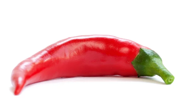 Rode chili peper — Stockfoto