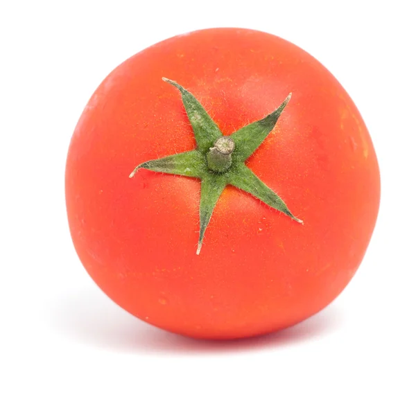 Um tomate vegetais — Fotografia de Stock