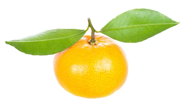 Una mandarina con hojas verdes —  Fotos de Stock