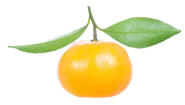 Jedna mandarinka se zelenými listy — Stock fotografie
