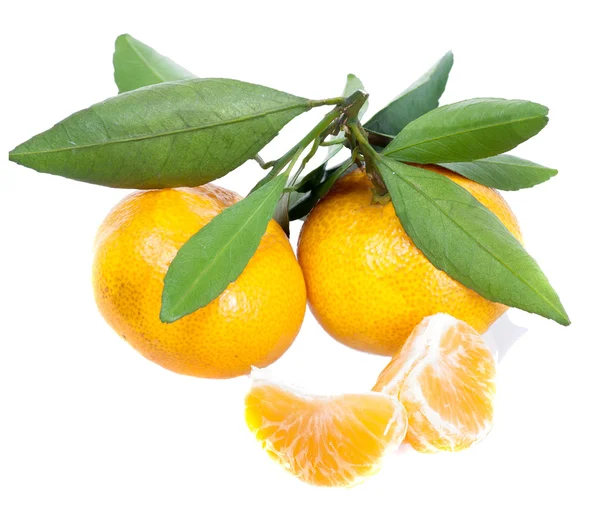 Two mandarins with leaves and two segments — Stock Photo, Image