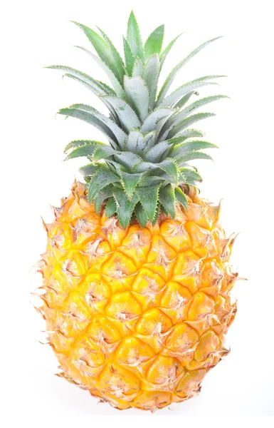 Ripe Pineapple — Stock Photo, Image