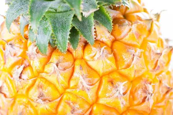 Ripe Pineapple — Stock Photo, Image