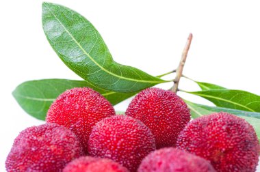 waxberry veya bayberry yığını
