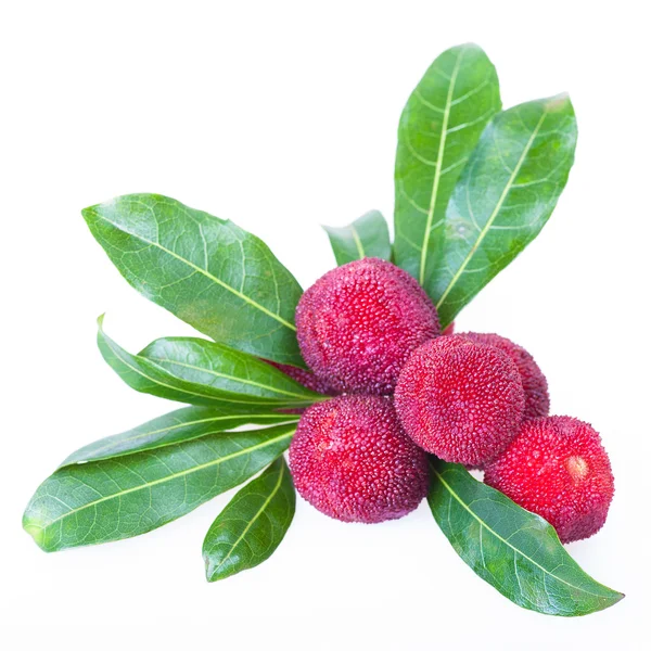 Waxberry atau bayberry — Stok Foto