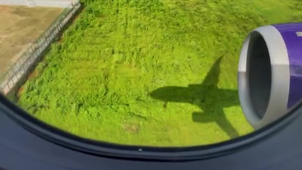 Zicht op de vliegtuigen schaduw over het gras terwijl het vliegtuig landt. — Stockvideo