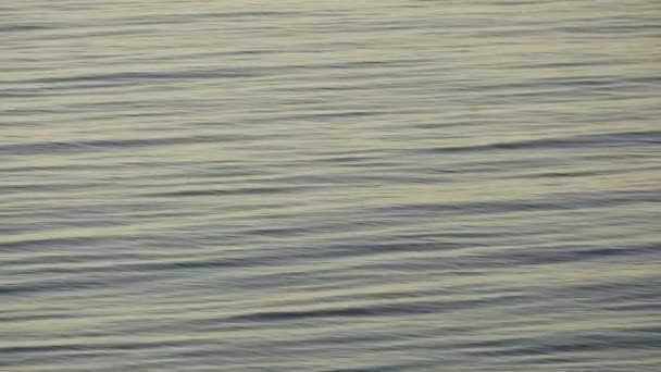 Мерехтливе світлове відображення сходу сонця на морі — стокове відео