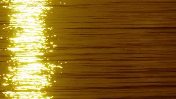 Scintillante luce dell'alba riflesso sul mare — Video Stock