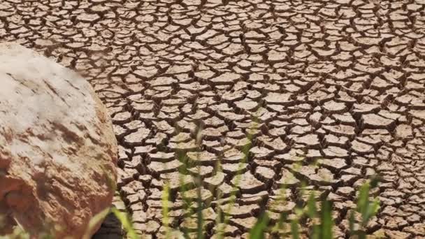 Panorama de azulejos de terra seca com uma rocha. — Vídeo de Stock