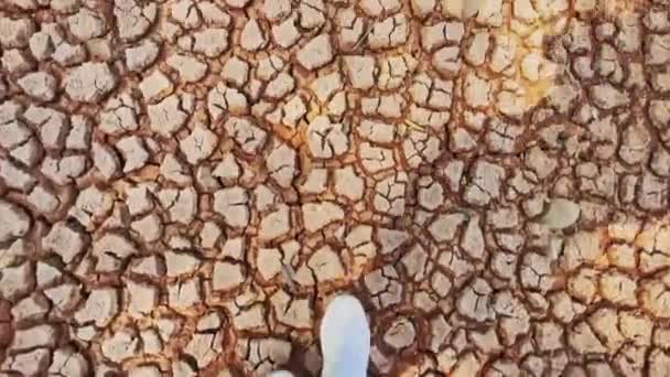 Família de três está andando no deserto — Vídeo de Stock