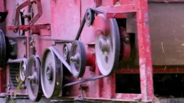 CHENZHOU, ÇİN - 06 Ekim 2021: hasat çeltik topluyor 