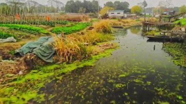 Ortasında terk edilmiş tekne olan bir bahçenin dönüşümlü görüntüsü..