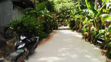 Tropiklerde palmiye ağaçları olan dar bir sokaktan insansız hava aracı kalkıyor. 