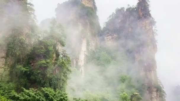 Национальный Лесной Парк Чжанцзяцзе Известен Плавающие Горы Аватар Утреннем Тумане — стоковое видео