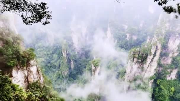 Национальный Лесной Парк Чжанцзяцзе Известен Плавающие Горы Аватар Утреннем Тумане — стоковое видео