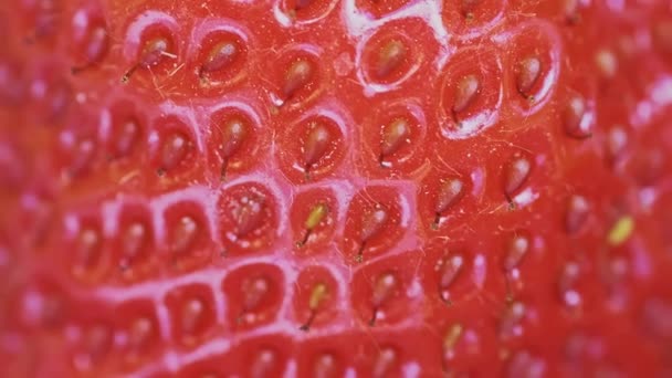 Super Macro Από Κόκκινα Και Ώριμα Φρούτα Φράουλα Σπόρους Μια — Αρχείο Βίντεο