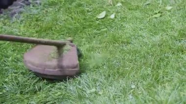Yazın yeşil çim biçen çalı biçme makinesinin yakın çekimi. İnsan yok. Yüksek kalite 4k görüntü