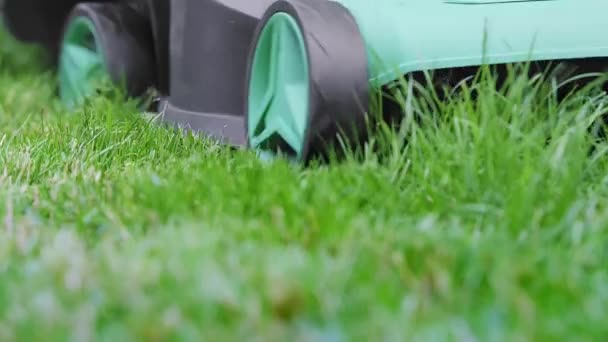 Primer Plano Una Cortadora Césped Verde Que Corta Hierba Verde — Vídeo de stock