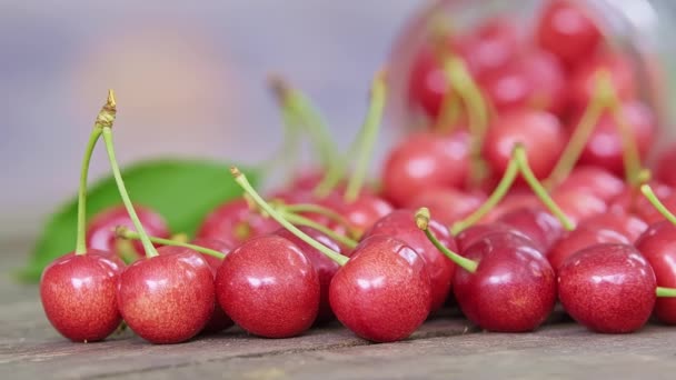 Macro Dolly Slider Shot Scattered Ripe Red Wild Cherries Table — Stockvideo