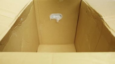 Kahverengi karton kutunun içine koyarken plastik eşyalara sarılı beyaz bir adamın yakın çekim görüntüsü. Yüksek kalite 4k görüntü