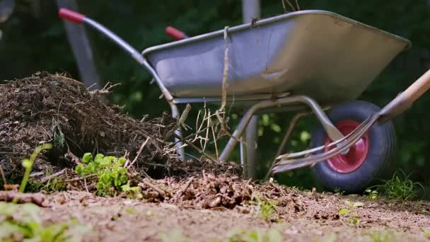 Man Help Pitchfork Loading Dry Twigs Branches Leaves Wheelbarrow Garden — Vídeo de stock