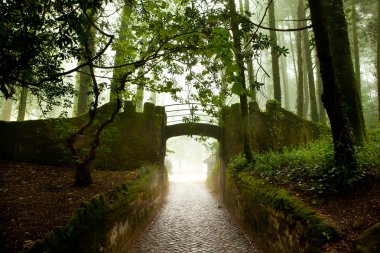 Sintra, Portekiz, pena Sarayı, sihirli Sarayı ve Parkı