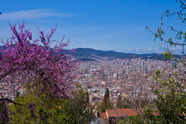 バルセロナ、カタルーニャ語、カタルーニャ、スペイン、春、アーキテクチャ、興味深い詳細ビュー — ストック写真