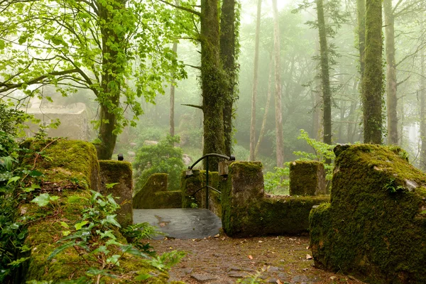 Sintra, Portugal, Pena Palace, magic palace and park — Stock Photo, Image