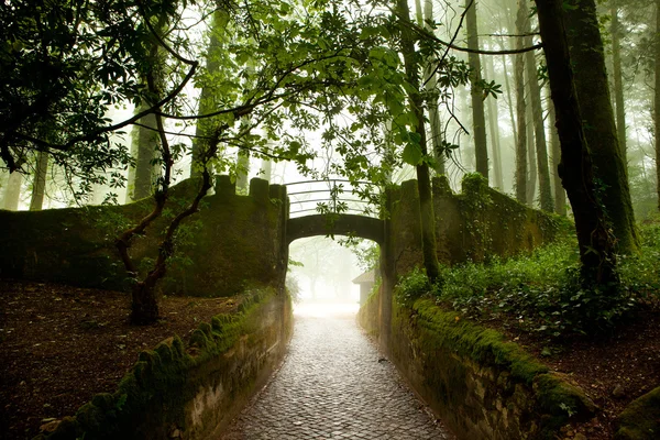 Sintra, Portugal, Pena Palace, magic palace and park — Stock Photo, Image