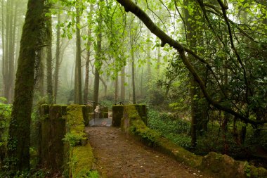 pena Sarayı, sisli hava, sintra, Portekiz muhteşem sokakta park