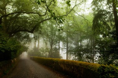 pena Sarayı, sisli hava, sintra, Portekiz muhteşem sokakta park