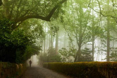 pena Sarayı, sisli hava, sintra, Portekiz muhteşem sokakta park