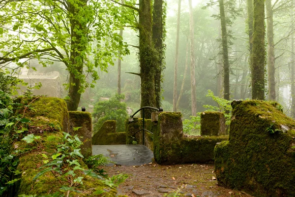 Park van het pena paleis, het fantastische steegje in mistig weer, sintra, portugal — Stockfoto